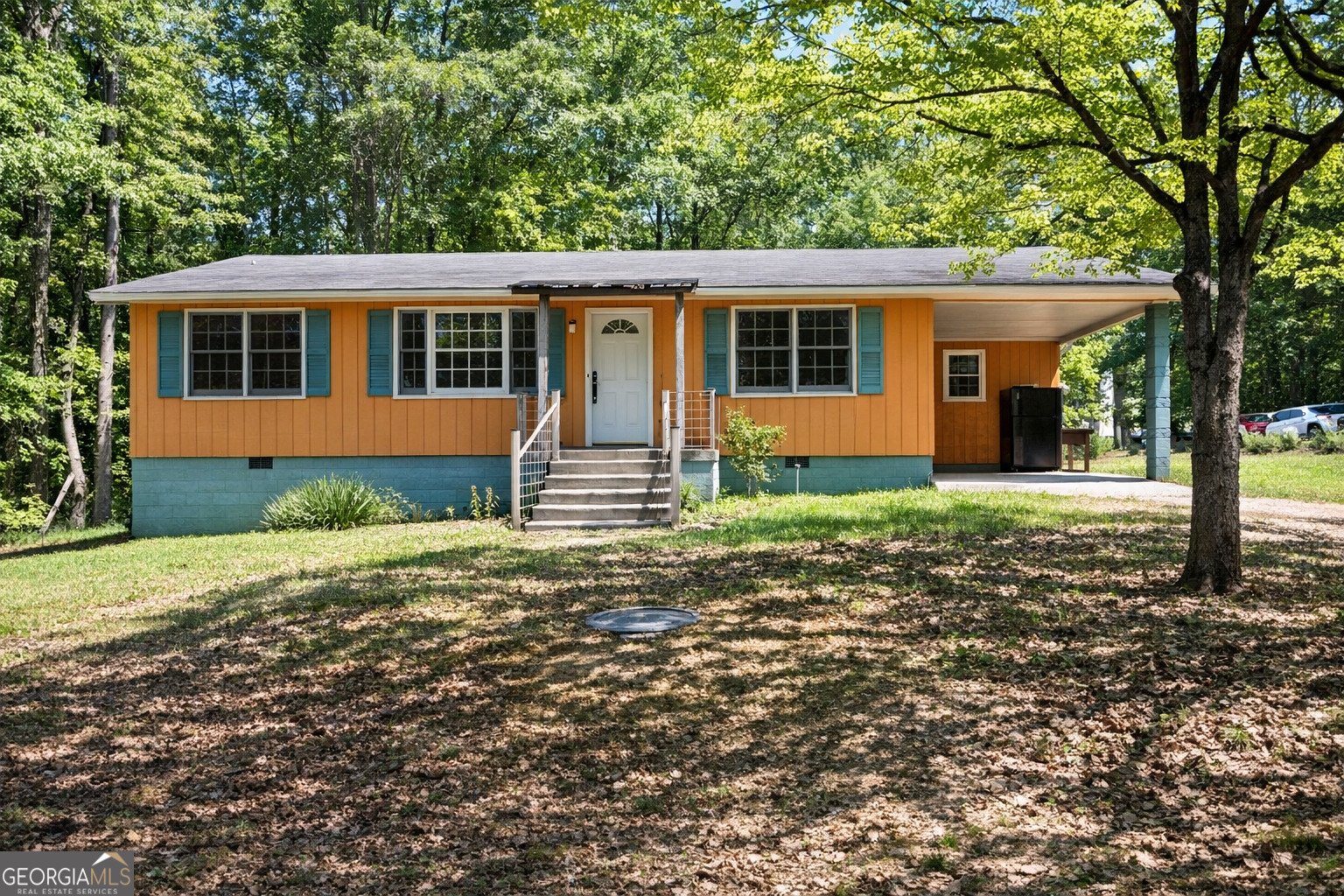 710 New Town Road Lavonia - Photo 1