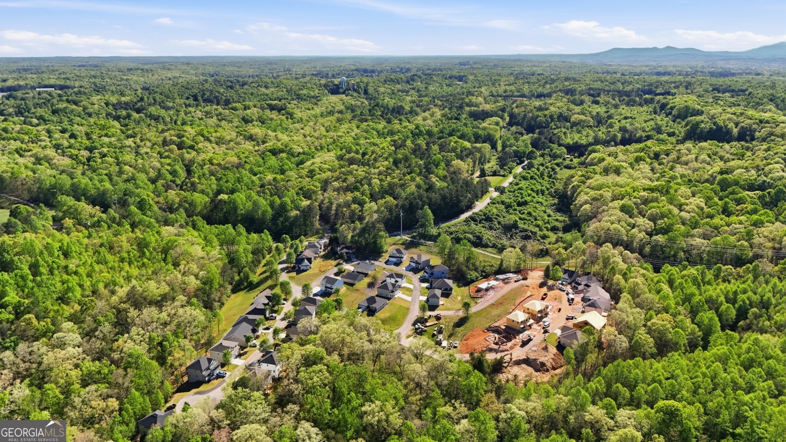 139 Saluda Drive Demorest - Photo 50