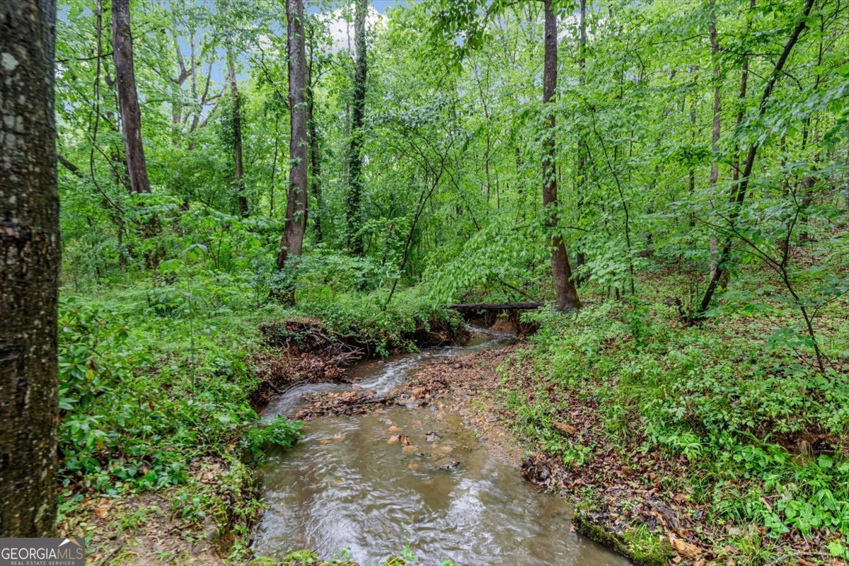 178 Mountain Vista Boulevard Canton - Photo 40