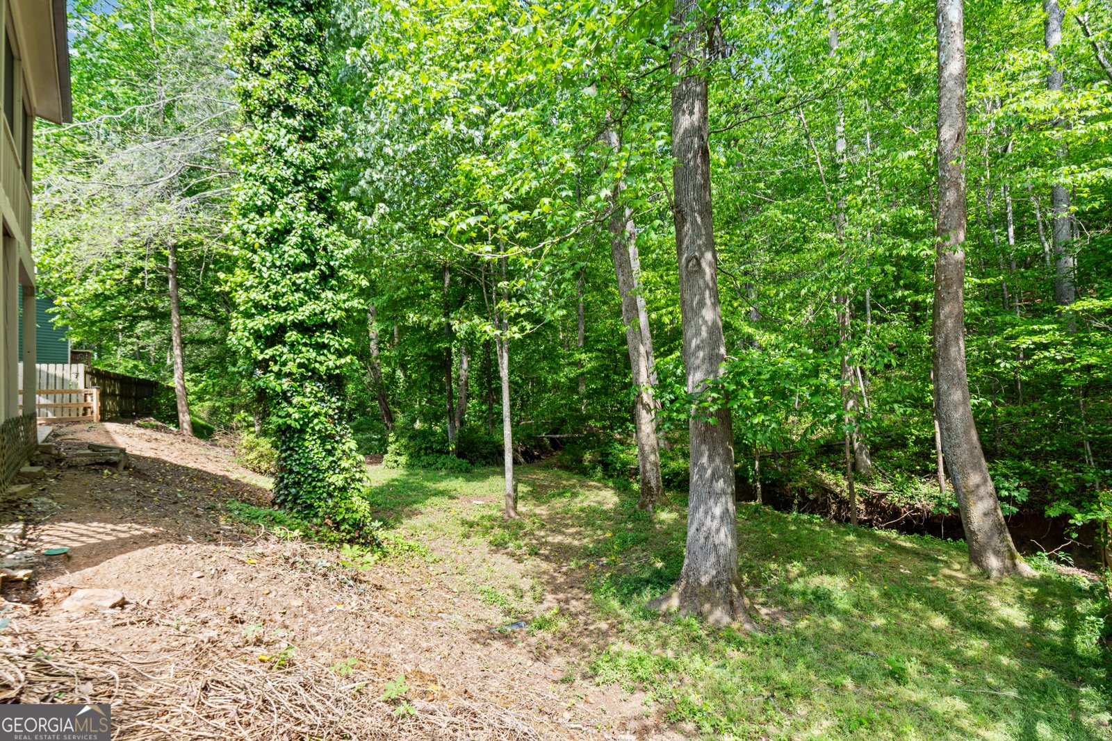 178 Mountain Vista Boulevard Canton - Photo 47