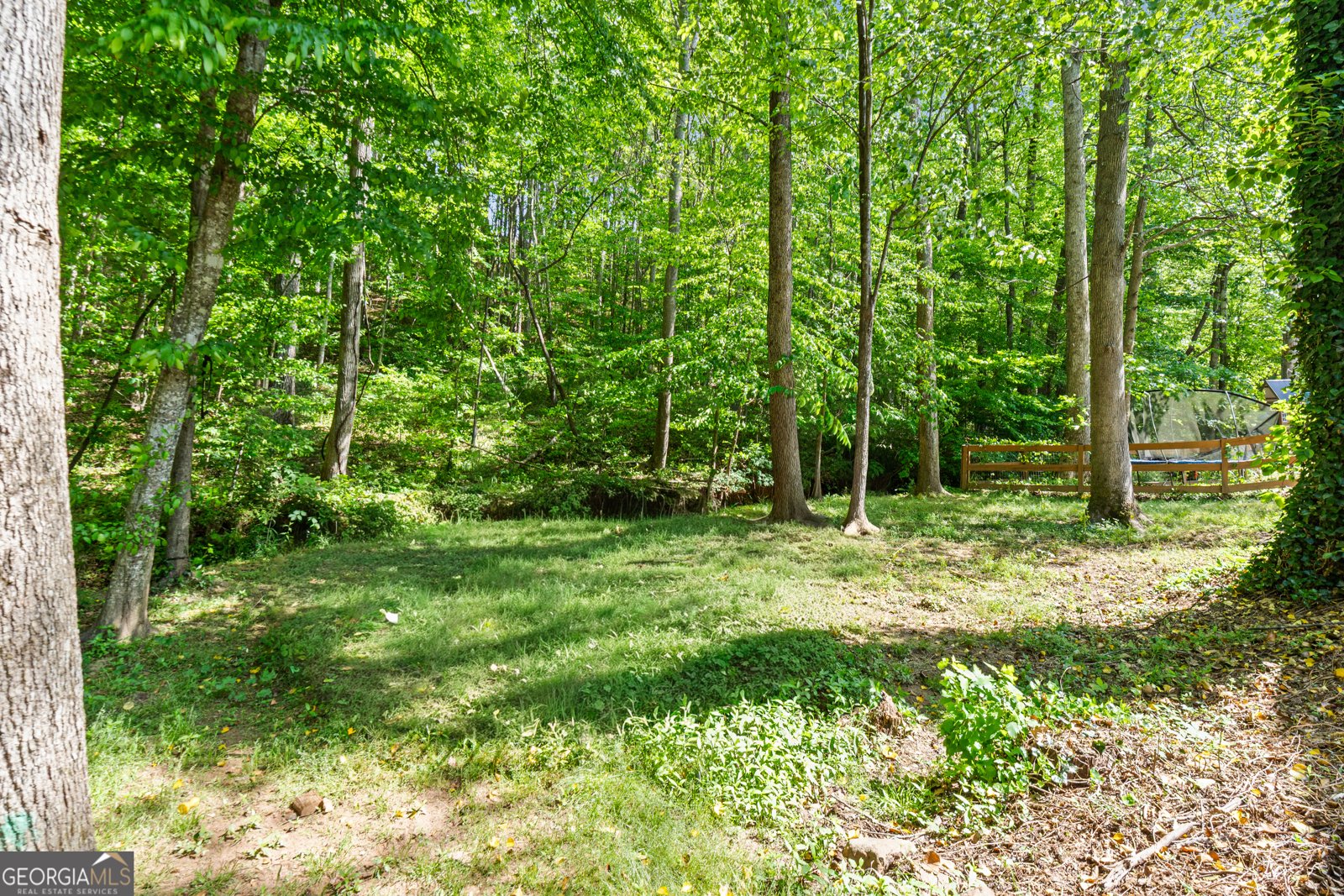 178 Mountain Vista Boulevard Canton - Photo 48