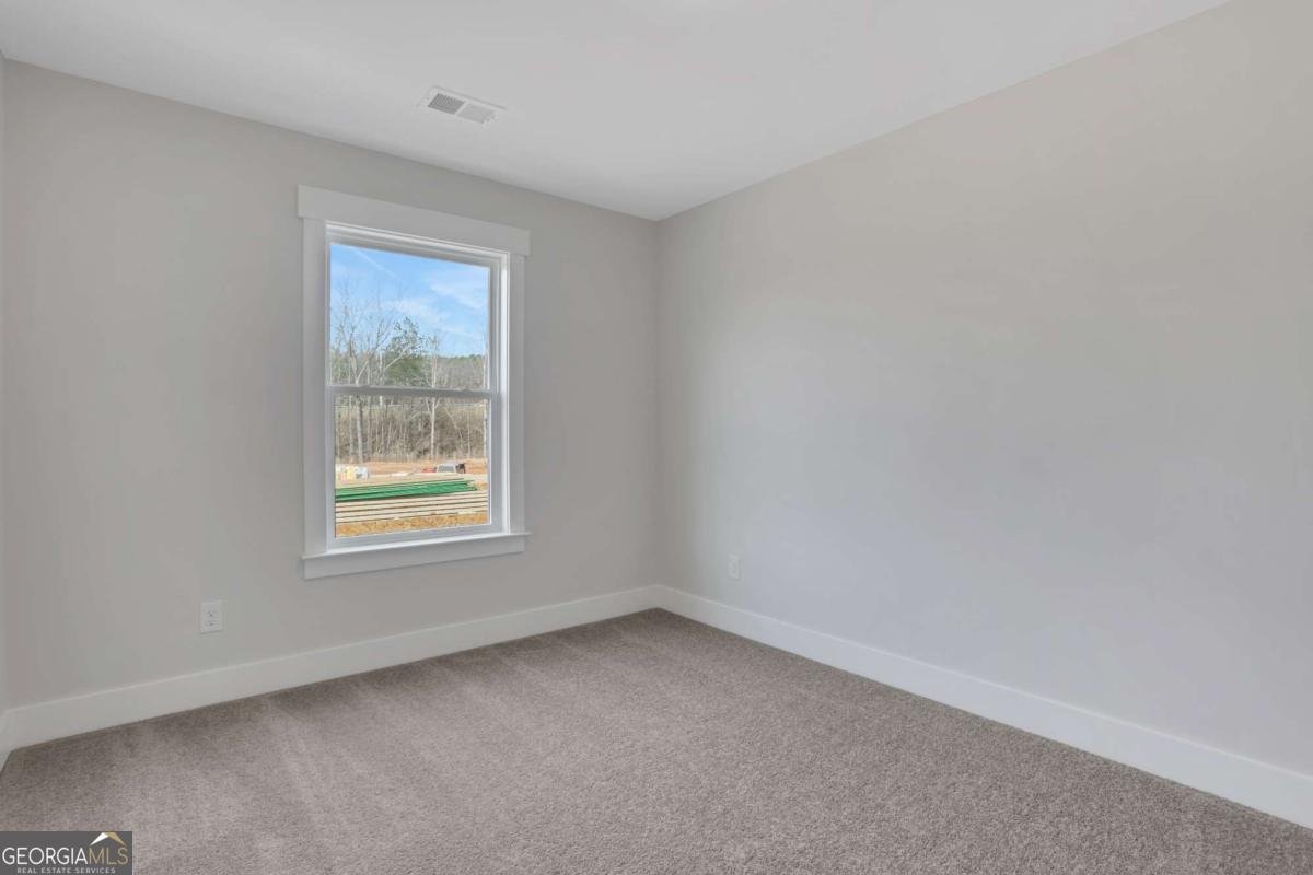 321 Conifer Lane Ball Ground - Photo 38