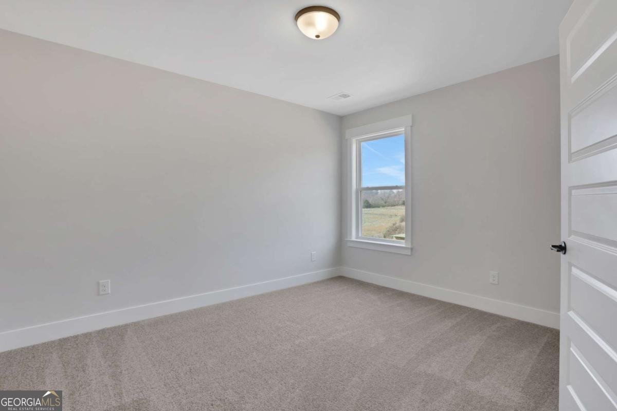 321 Conifer Lane Ball Ground - Photo 40