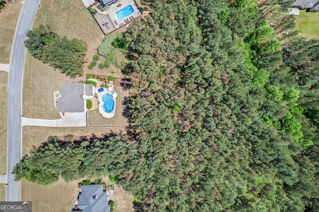 38 Harris Court Newnan - Photo 39