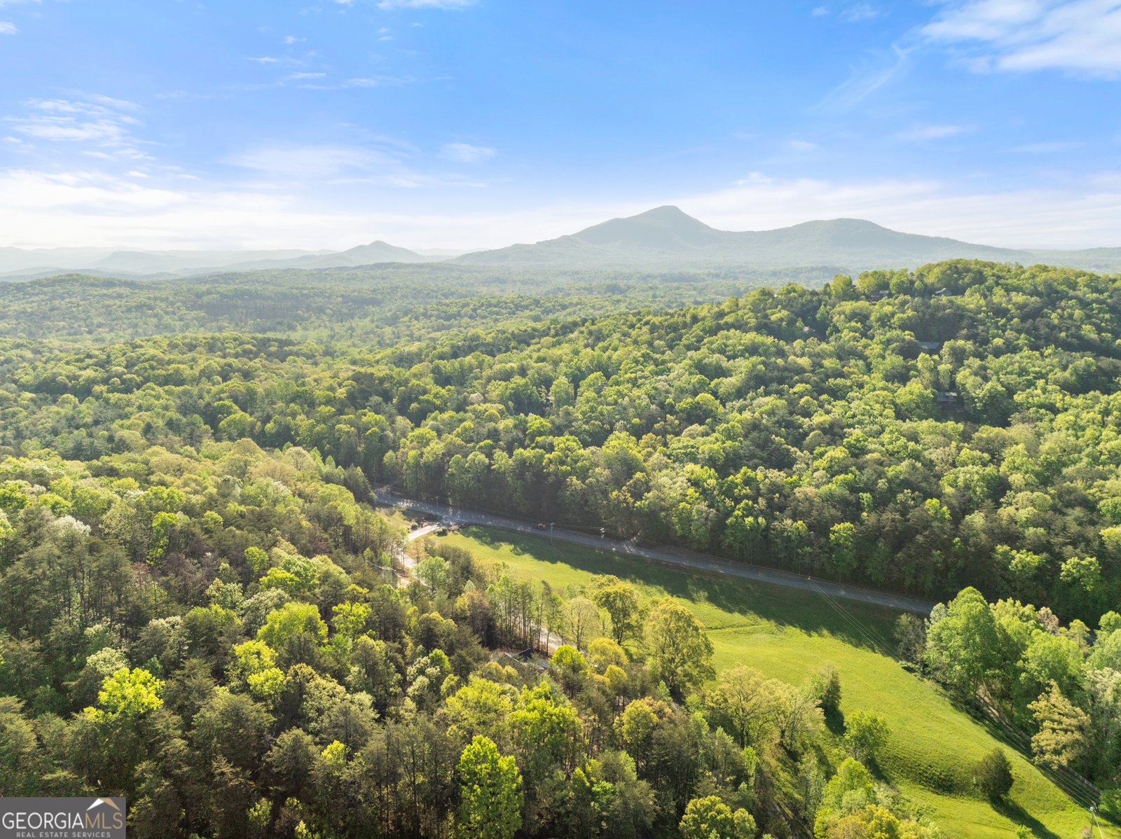 71 Chestatee Drive Cleveland - Photo 33