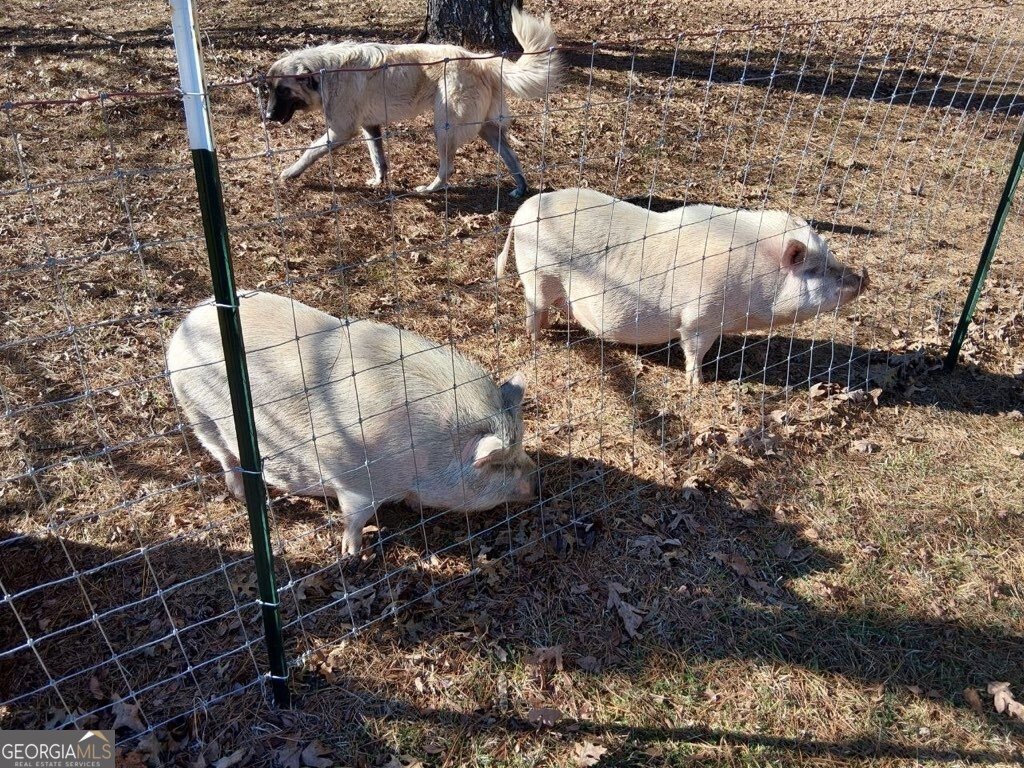 1555 Lower River Road Covington - Photo 92