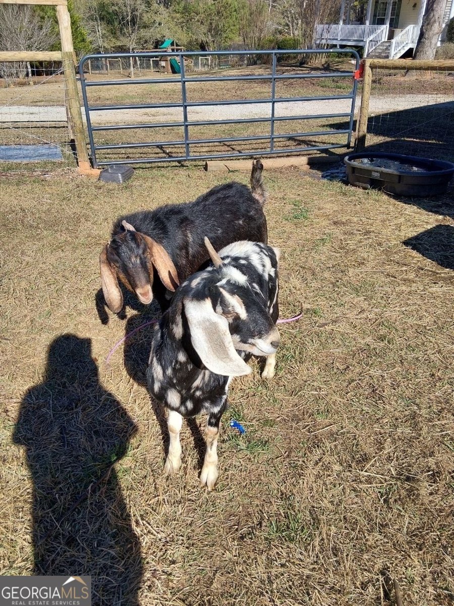 1555 Lower River Road Covington - Photo 94