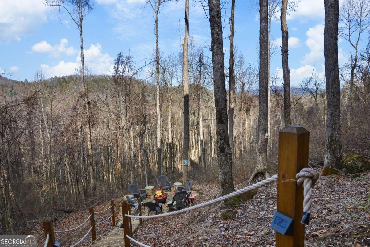 401 Dancing Leaves Trail Blue Ridge - Photo 35