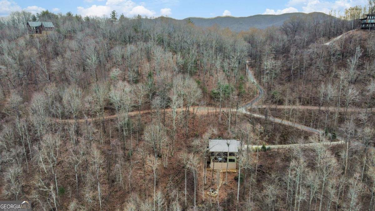 401 Dancing Leaves Trail Blue Ridge - Photo 38