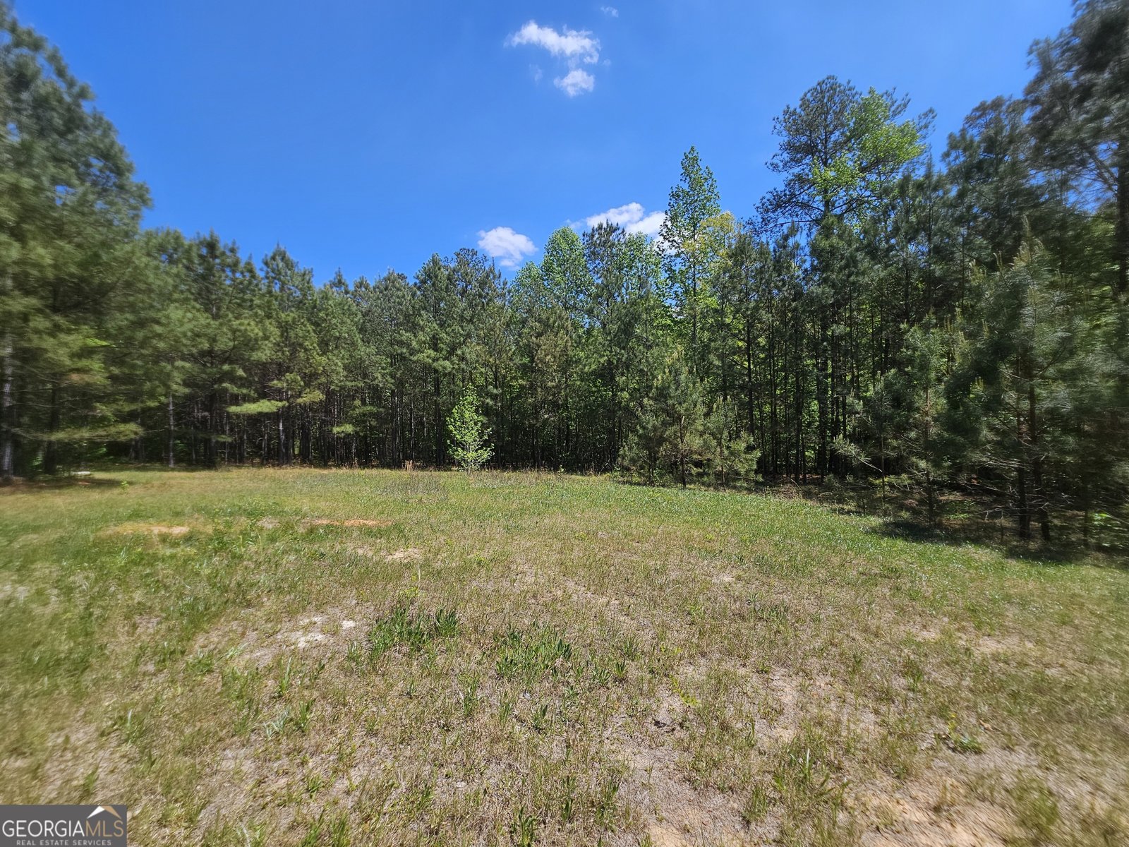 6534 GA Highway 219 Franklin - Photo 40