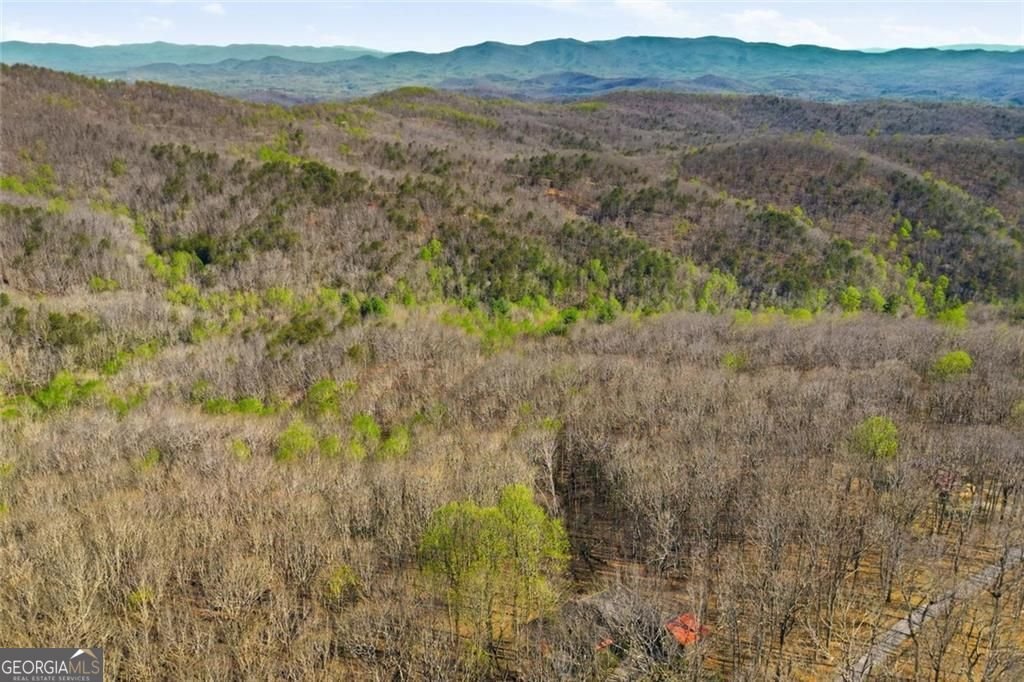 664 Renate Drive Jasper - Photo 56