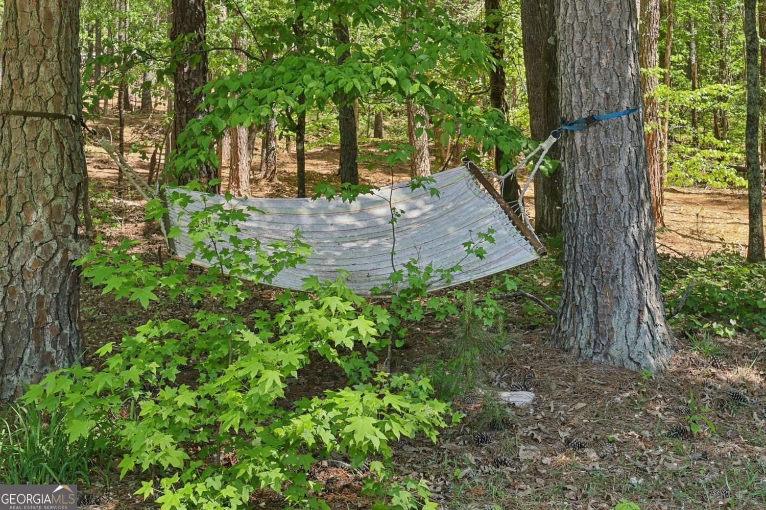 500 Turner Road McDonough - Photo 79