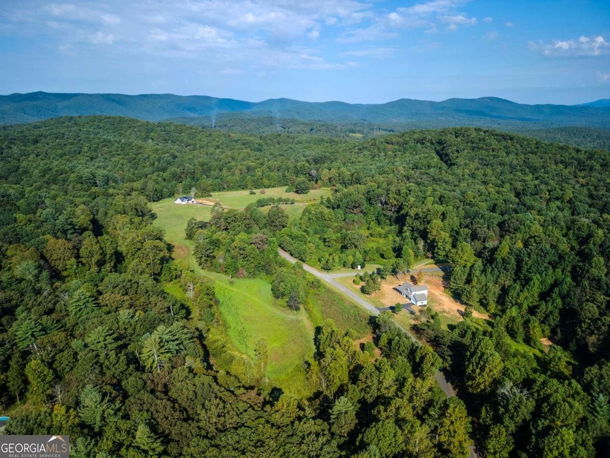 90 Cold Springs Road Ellijay - Photo 24