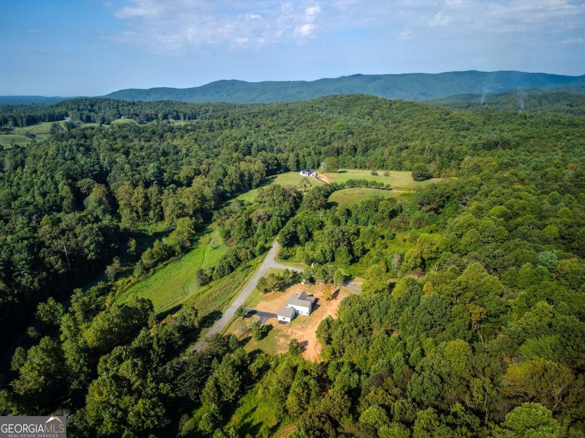 90 Cold Springs Road Ellijay - Photo 25