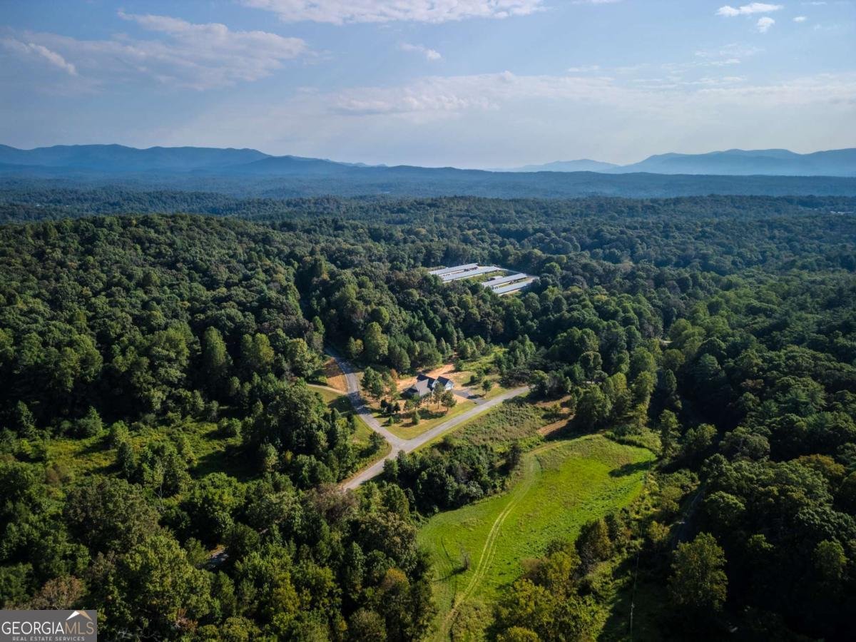 90 Cold Springs Road Ellijay - Photo 26