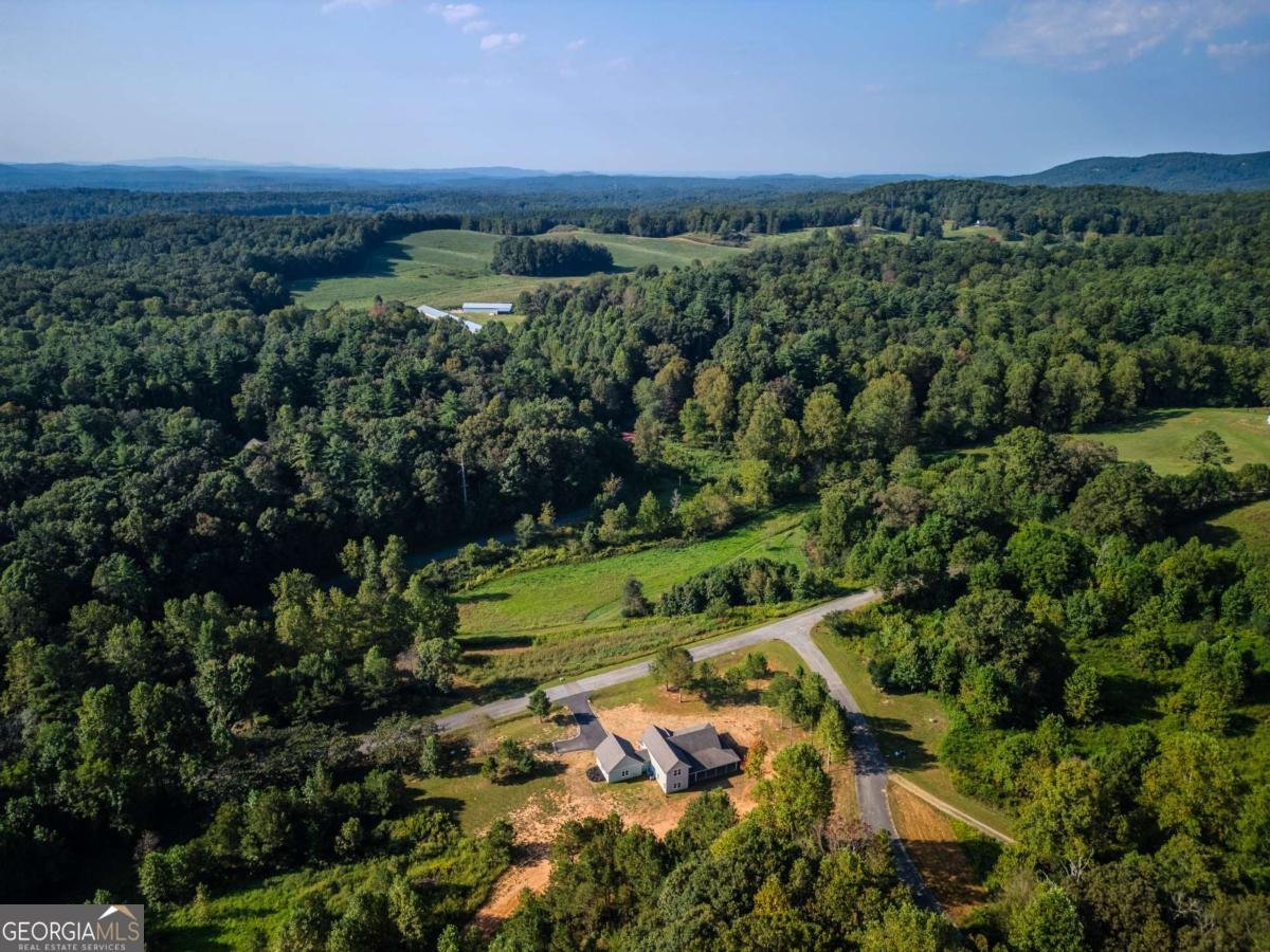 90 Cold Springs Road Ellijay - Photo 27