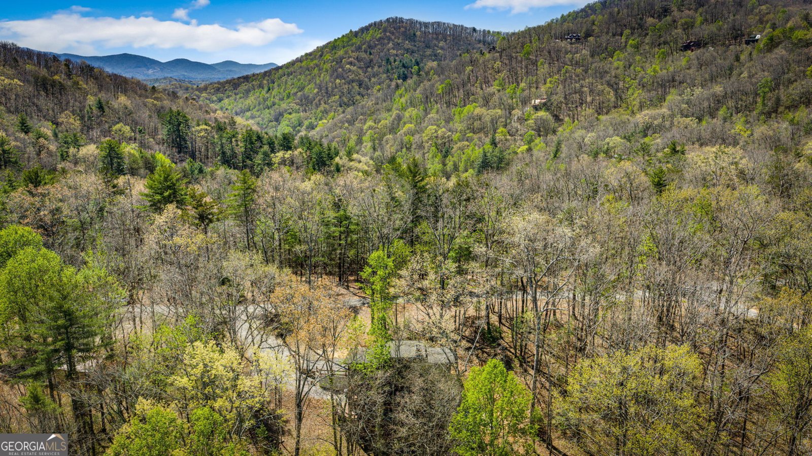 129 Bushy Head Road Cherry Log - Photo 67