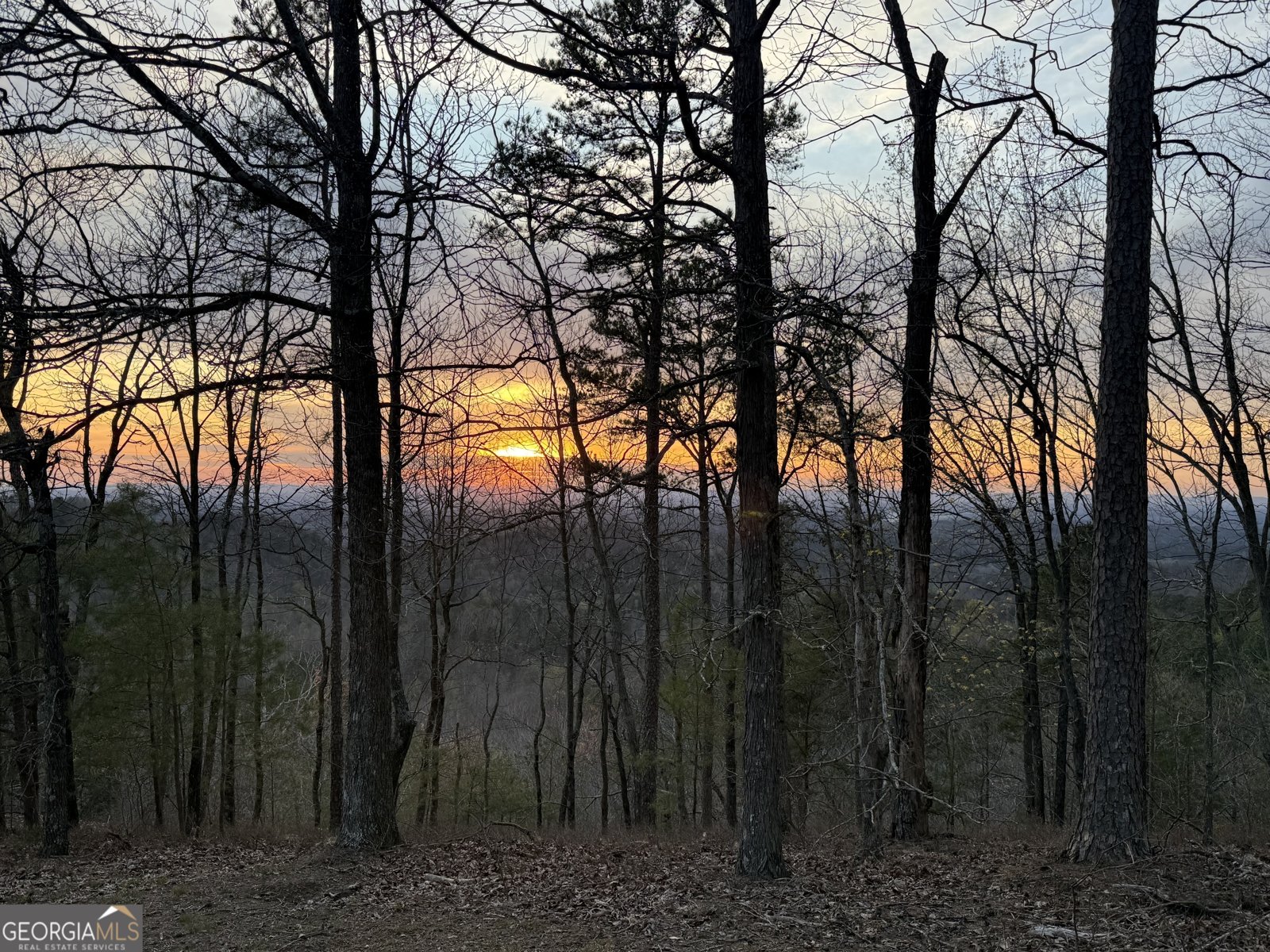 129 Bushy Head Road Cherry Log - Photo 68