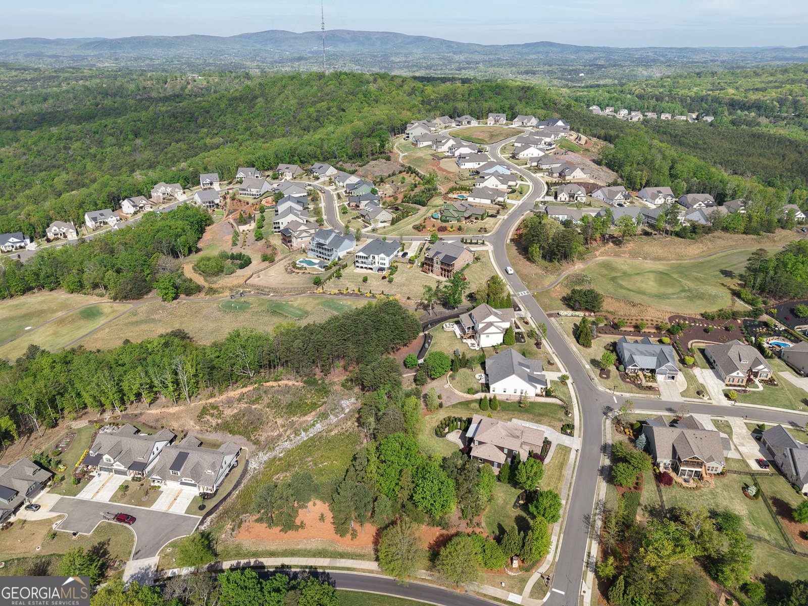 203 Laurel Vista Drive Canton - Photo 78