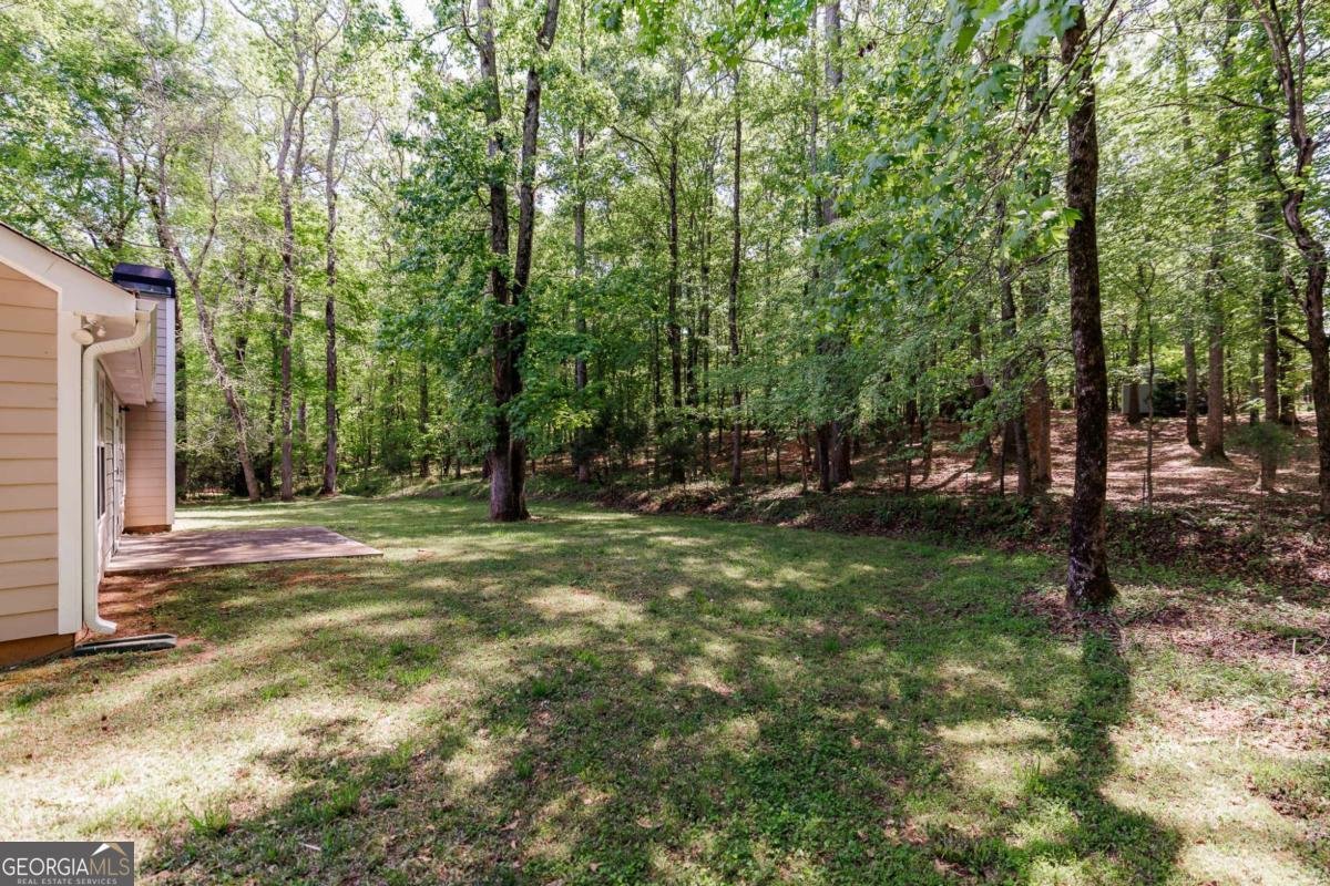 336 Carrington Drive Athens - Photo 30