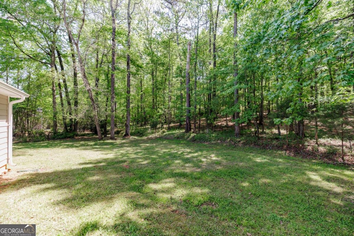 336 Carrington Drive Athens - Photo 31