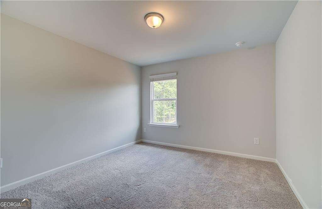 86 Hydrangea Circle Fairburn - Photo 19