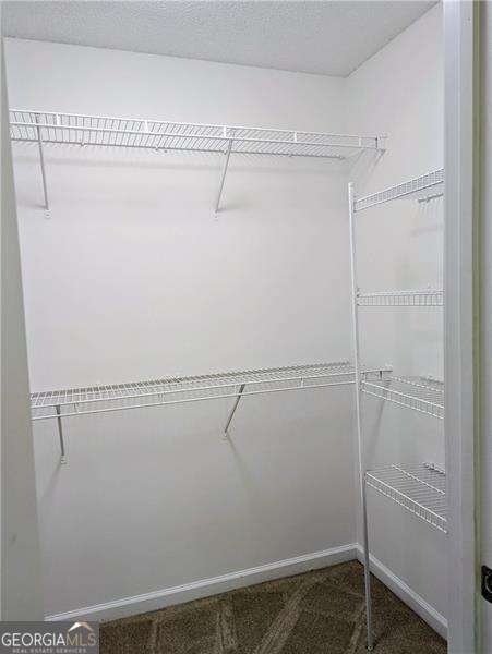 359 Blue Springs Way Dallas - Photo 13