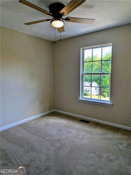 359 Blue Springs Way Dallas - Photo 18