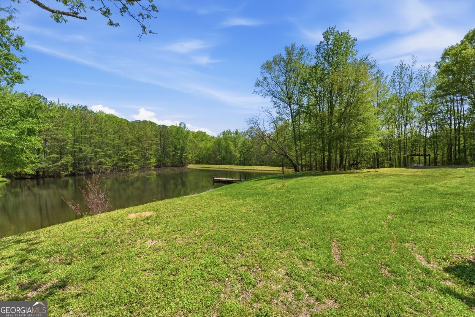 224 Old Franklin Street Roopville - Photo 30