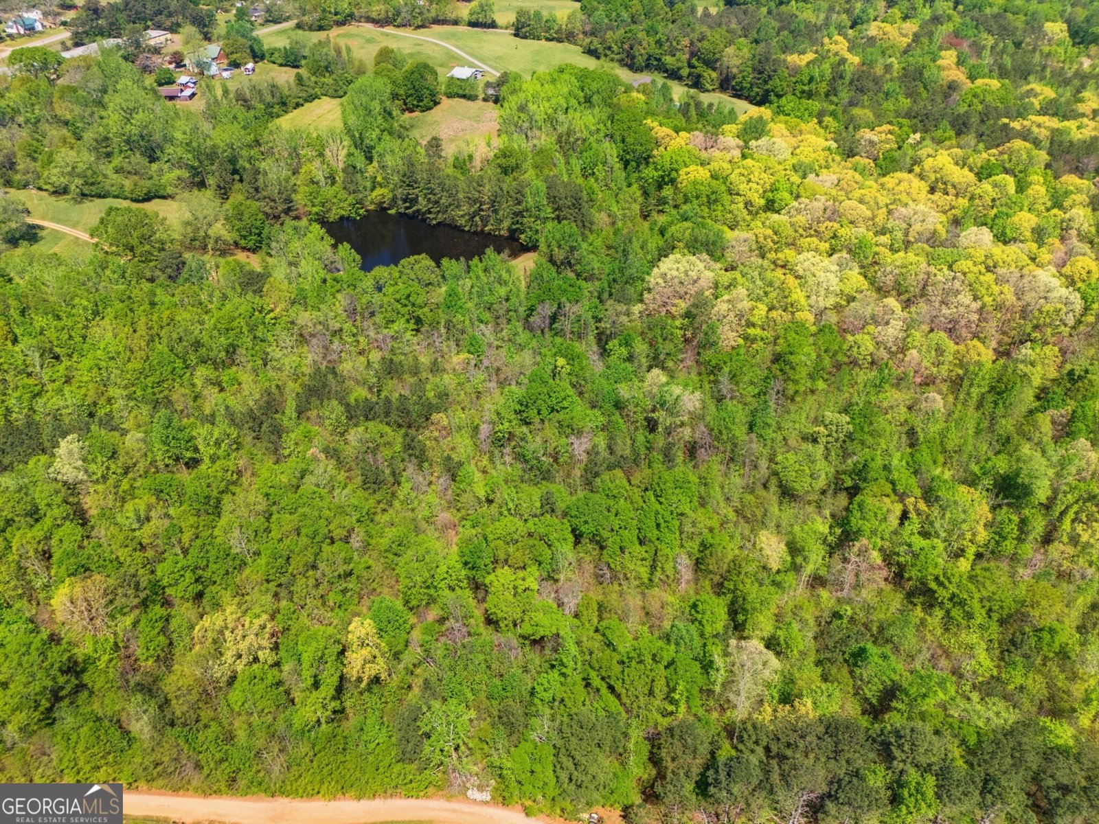 224 Old Franklin Street Roopville - Photo 49