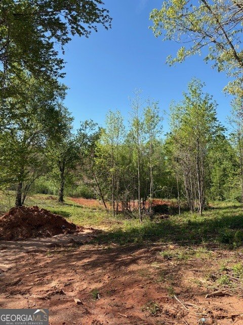 365 Hunts Ridge Drive Cleveland - Photo 28