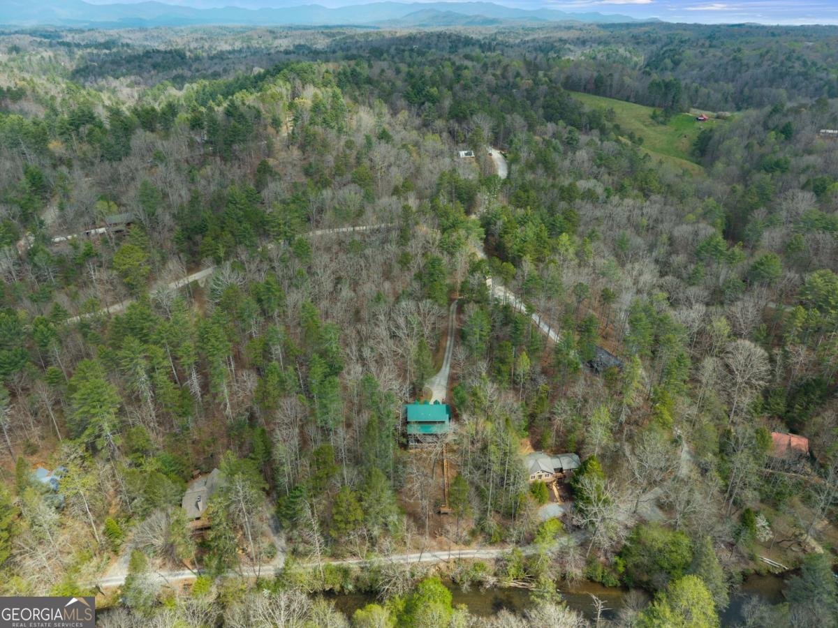 40 Graham Court Ellijay - Photo 50