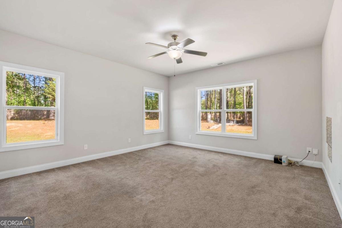 800 Rockhouse Road Senoia - Photo 16