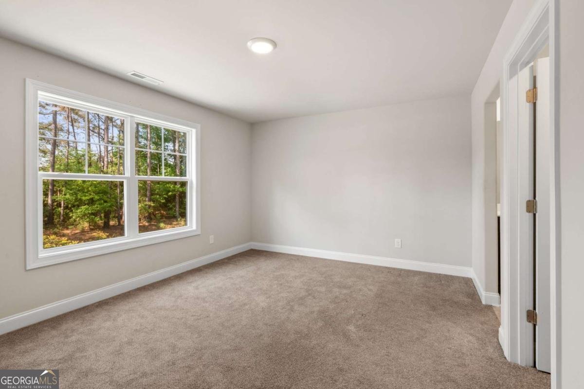 800 Rockhouse Road Senoia - Photo 22