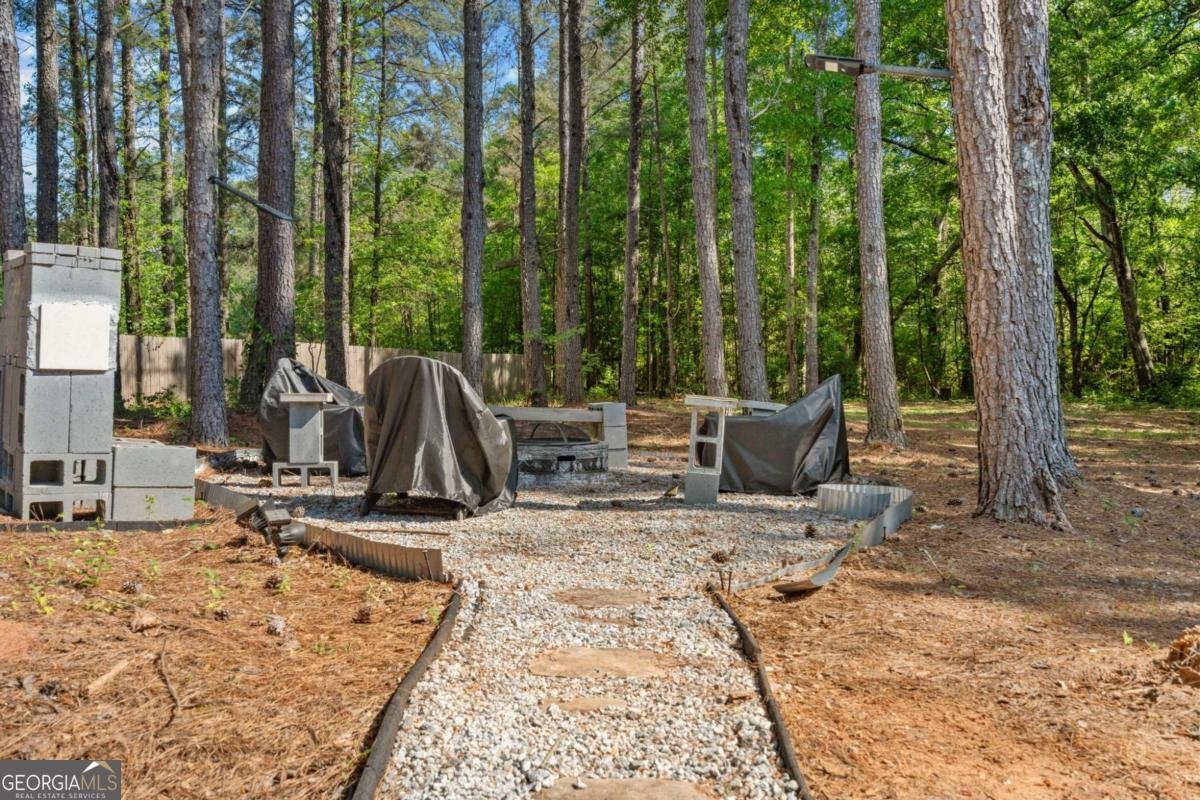 800 Rockhouse Road Senoia - Photo 29