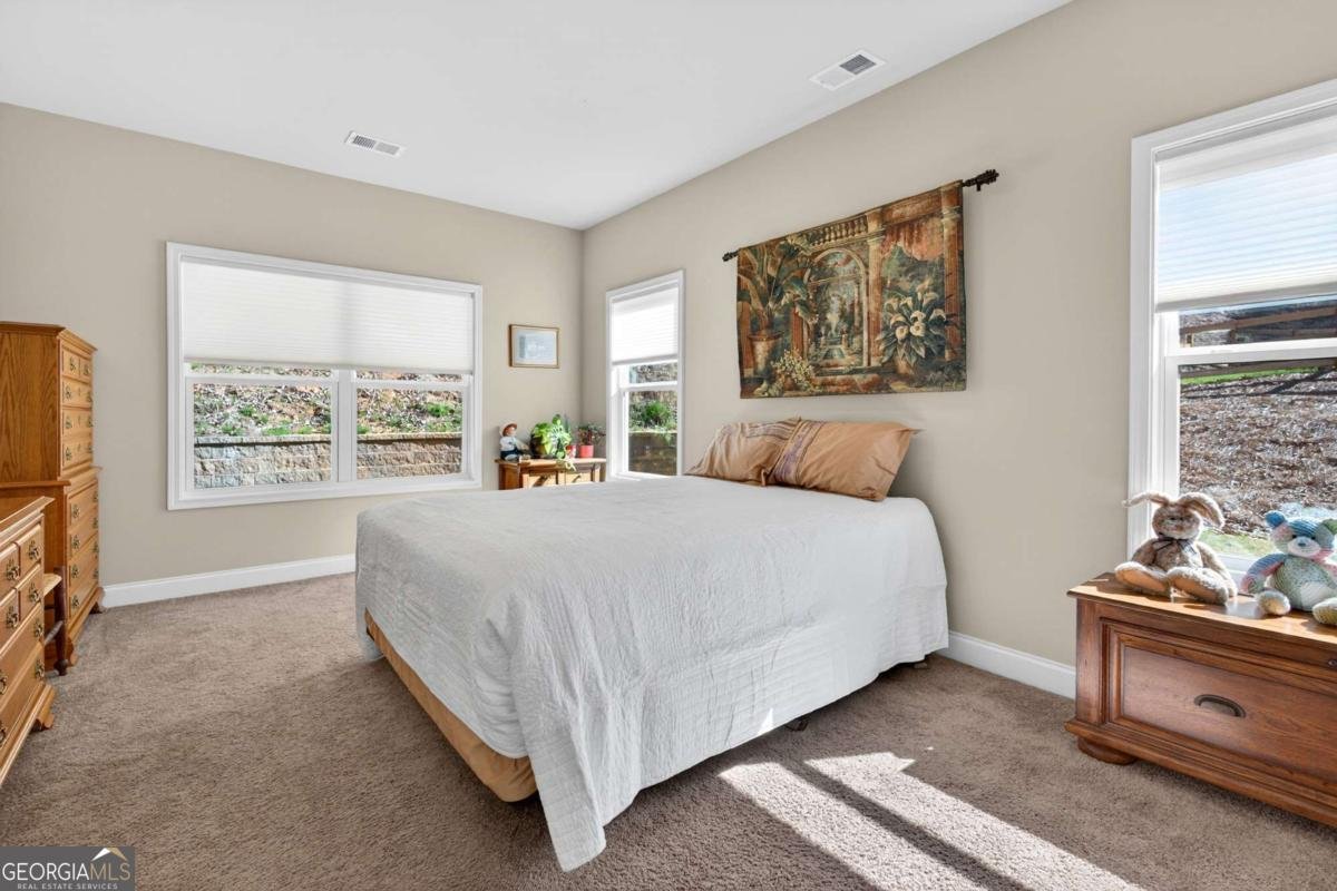 118 Cherokee Drive Waleska - Photo 30