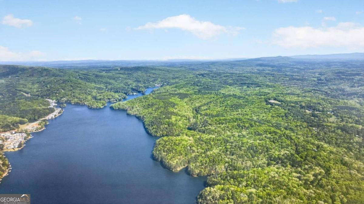 118 Cherokee Drive Waleska - Photo 59