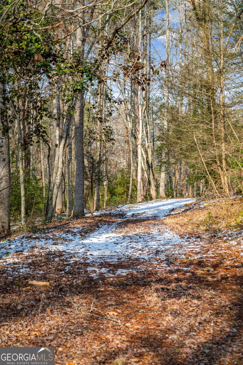 102 Captains Cove Blairsville - Photo 101