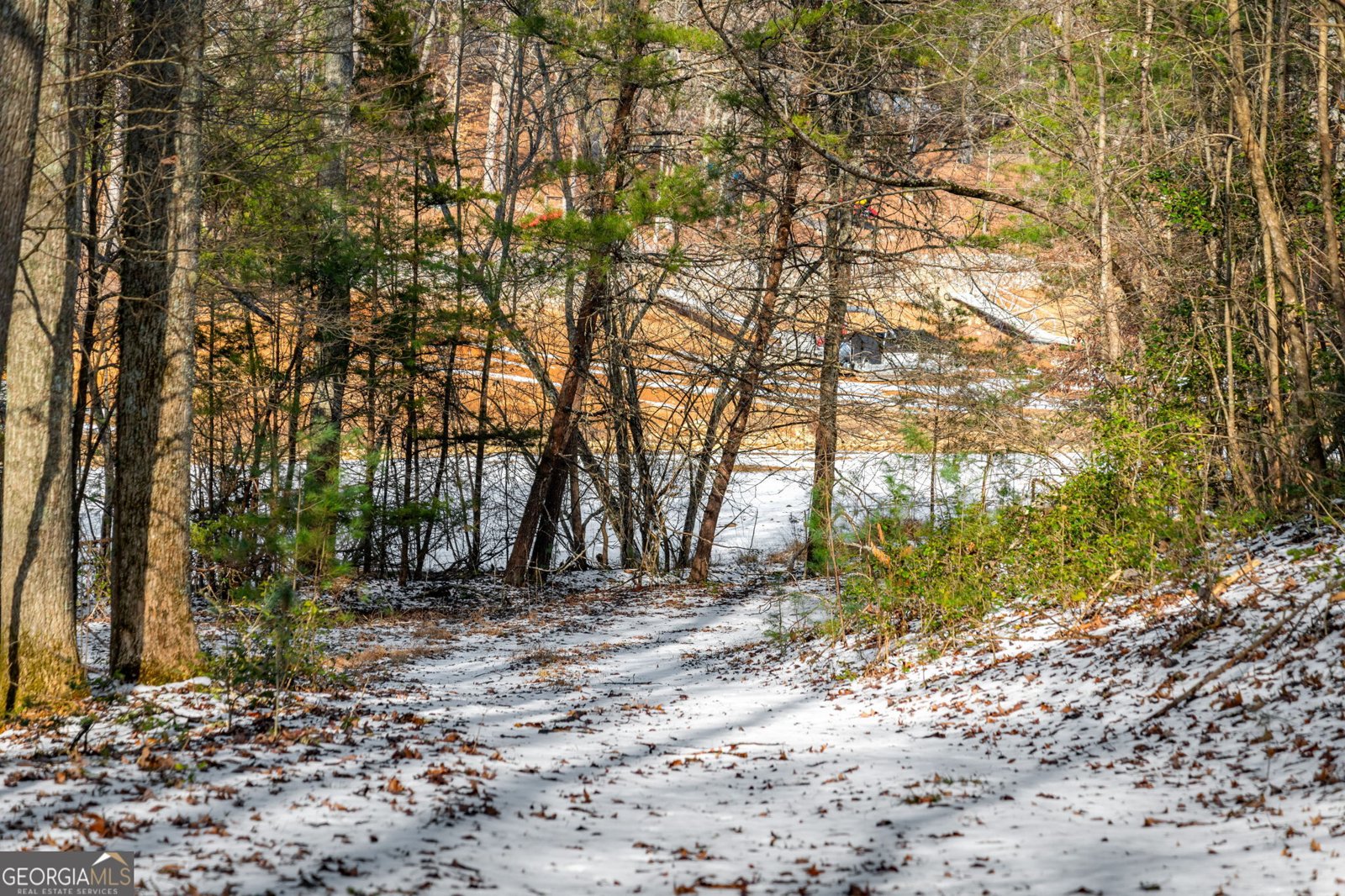 102 Captains Cove Blairsville - Photo 102