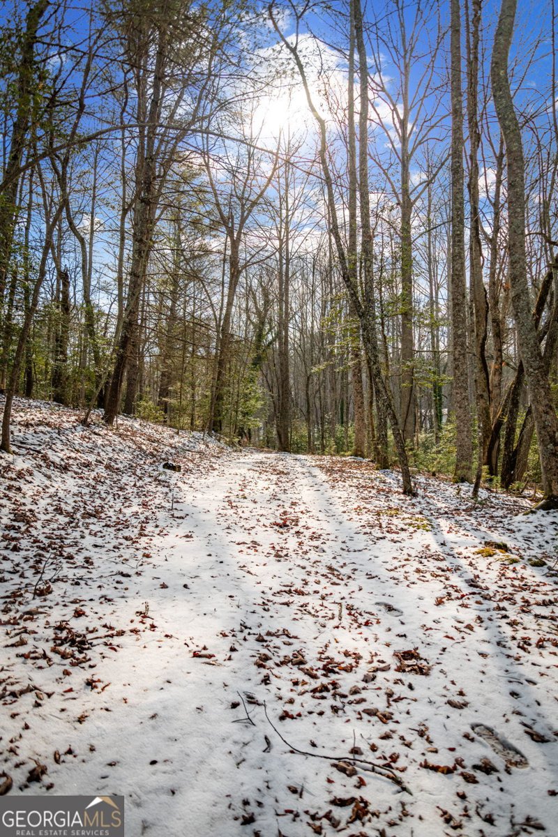 102 Captains Cove Blairsville - Photo 103