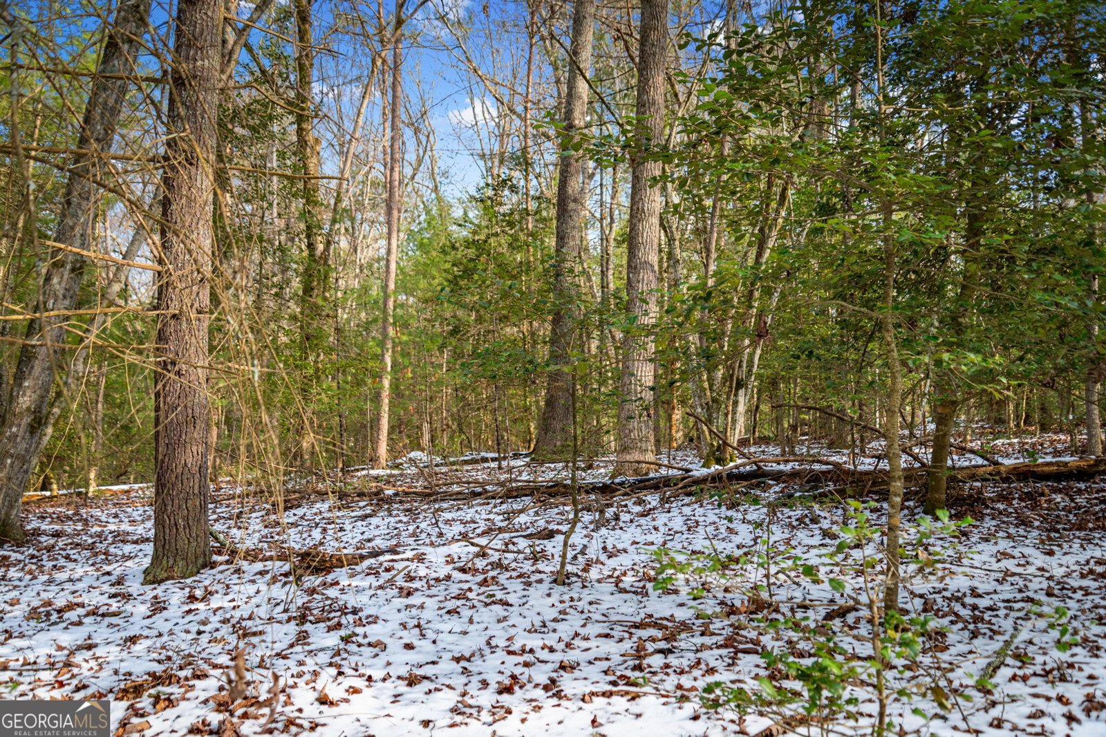 102 Captains Cove Blairsville - Photo 107