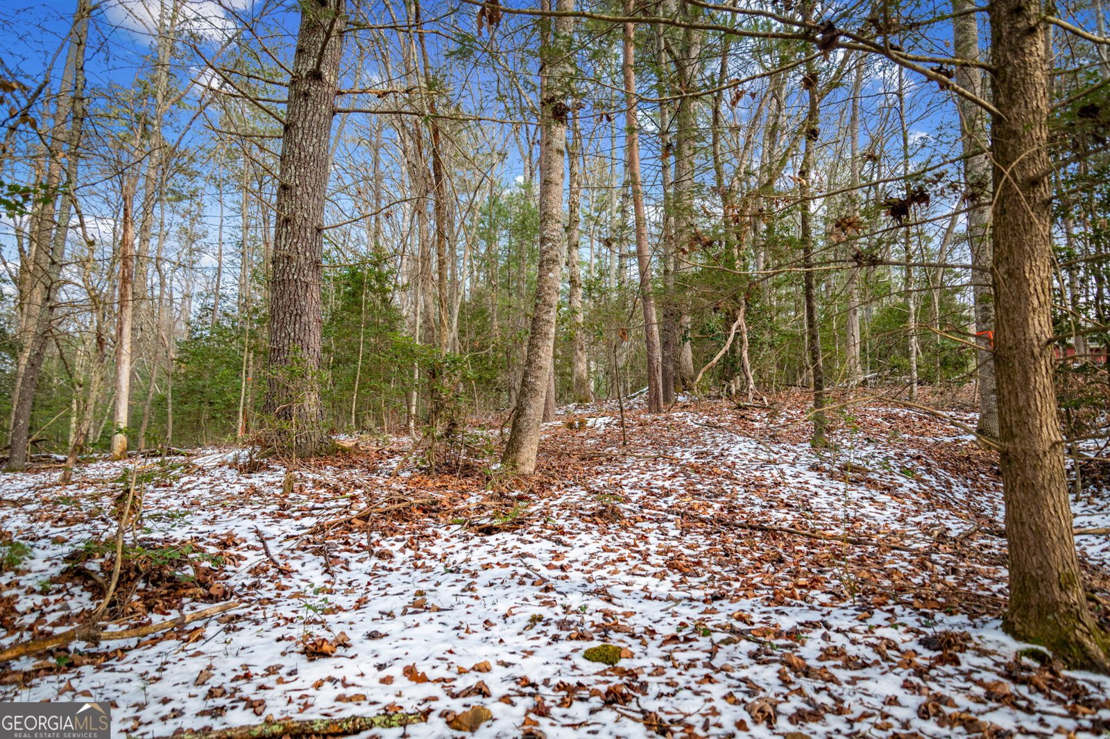 102 Captains Cove Blairsville - Photo 108