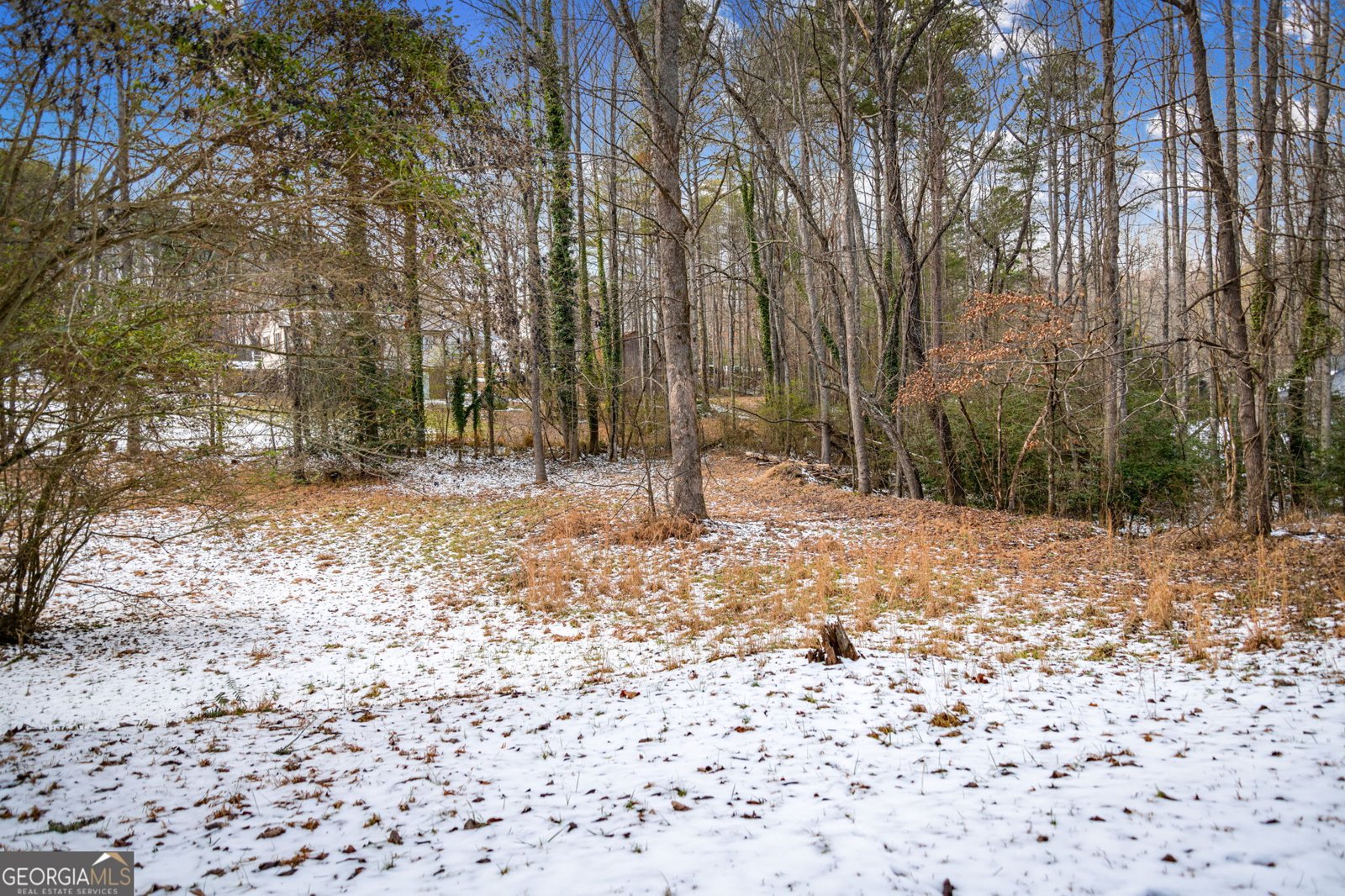 102 Captains Cove Blairsville - Photo 109