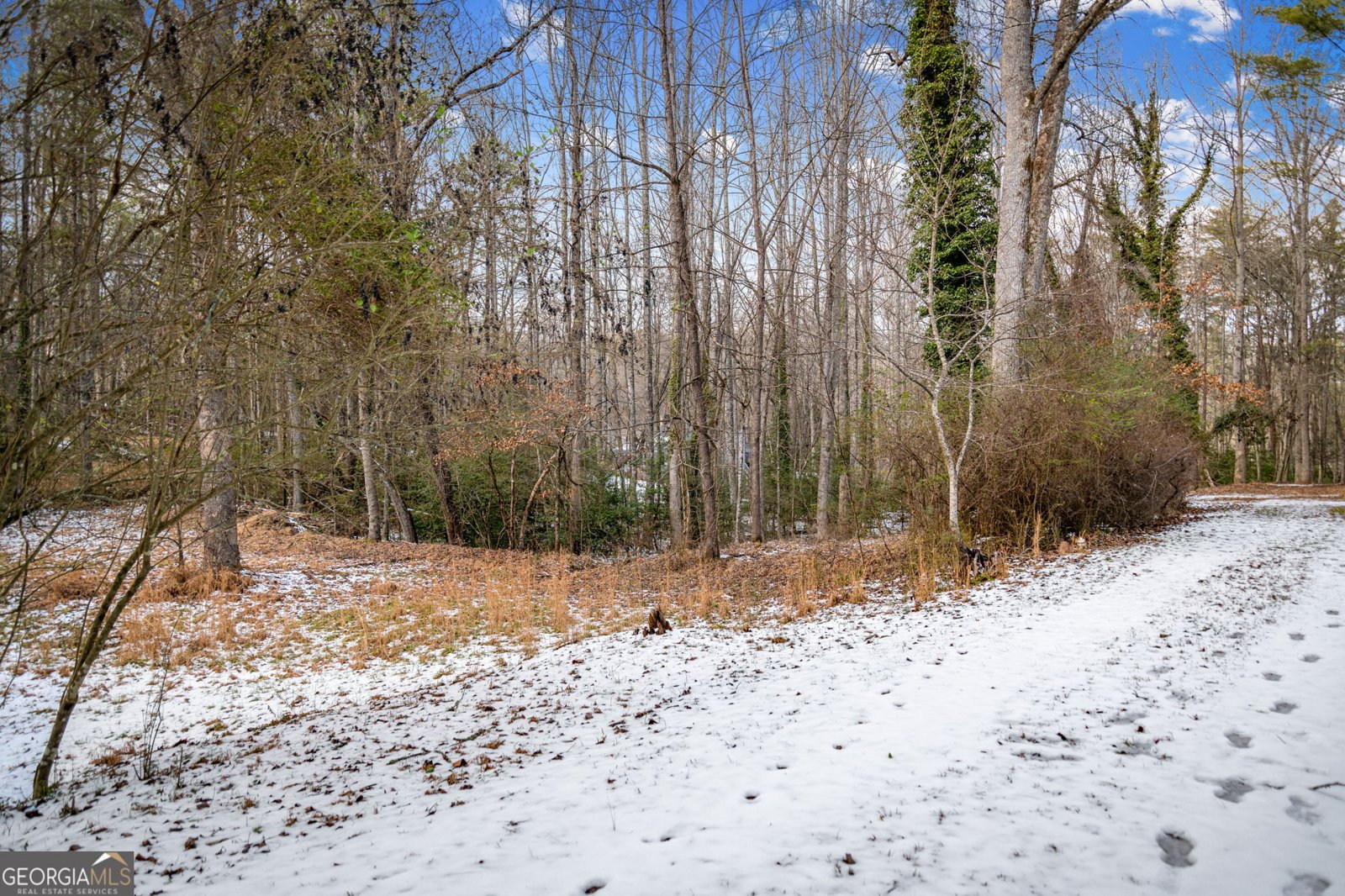 102 Captains Cove Blairsville - Photo 110