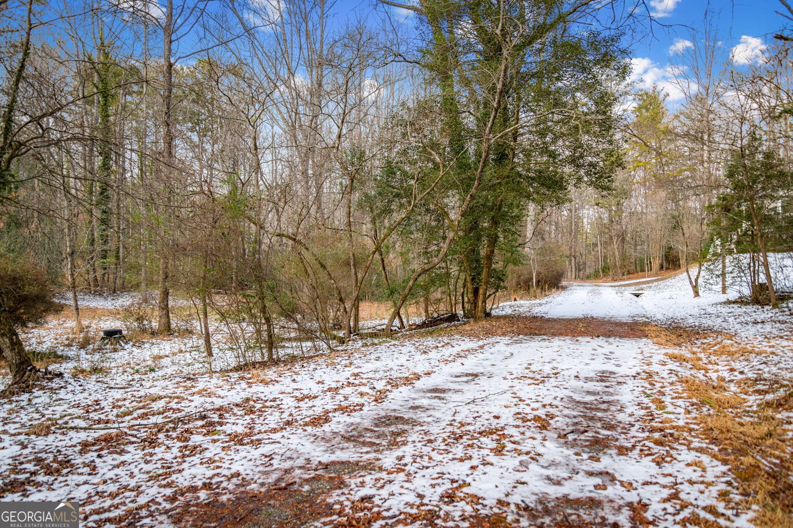 102 Captains Cove Blairsville - Photo 111