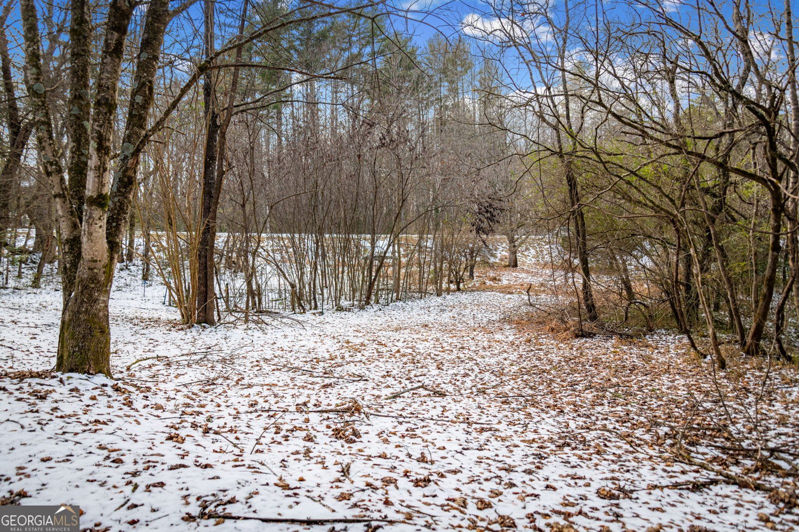 102 Captains Cove Blairsville - Photo 112