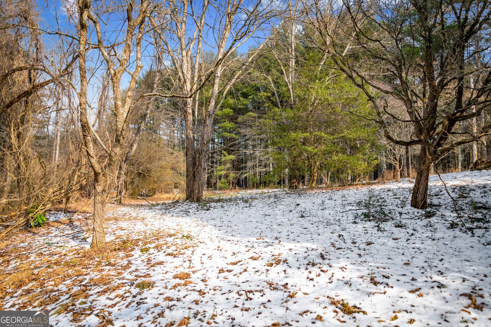 102 Captains Cove Blairsville - Photo 113