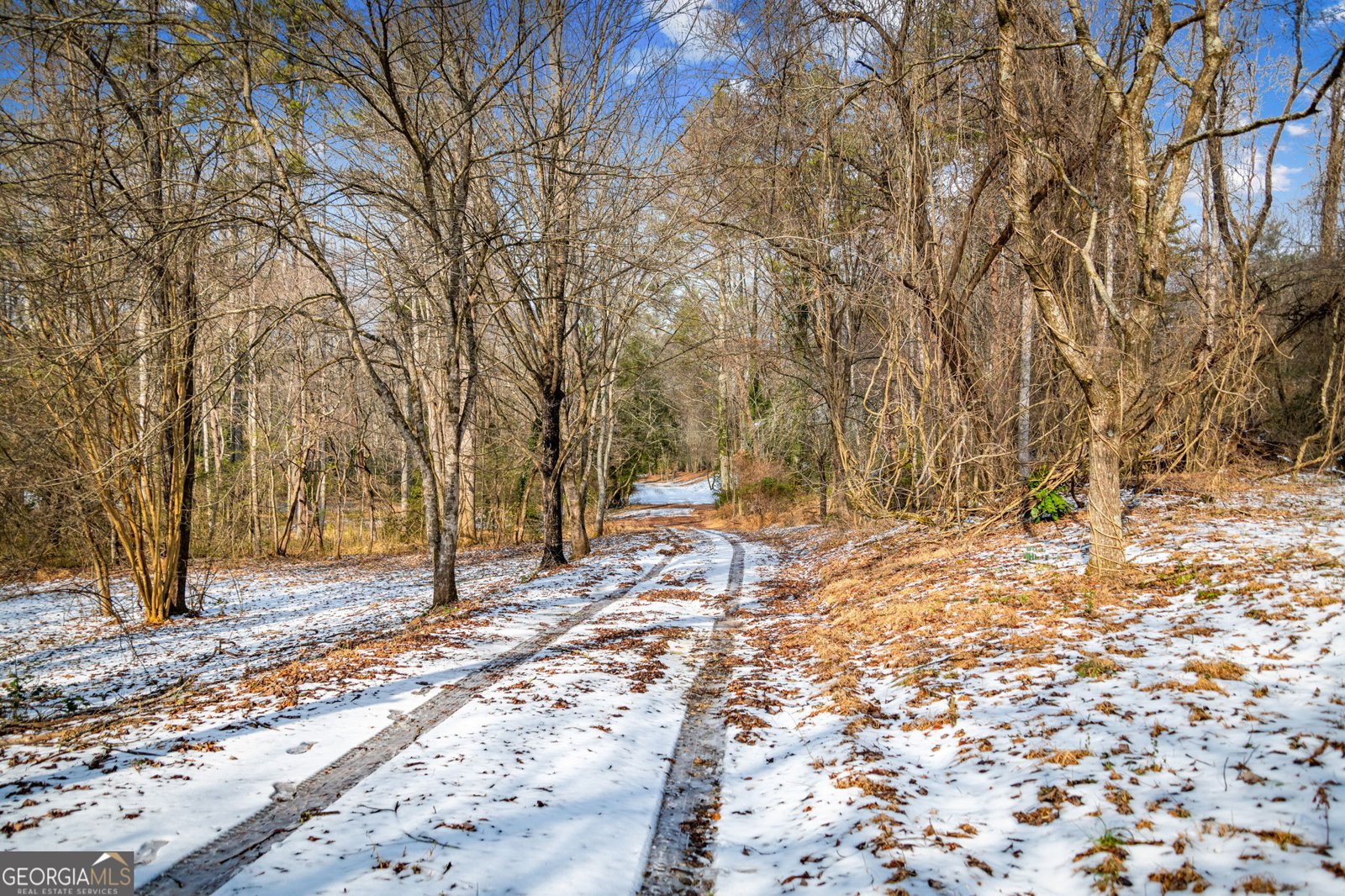 102 Captains Cove Blairsville - Photo 114