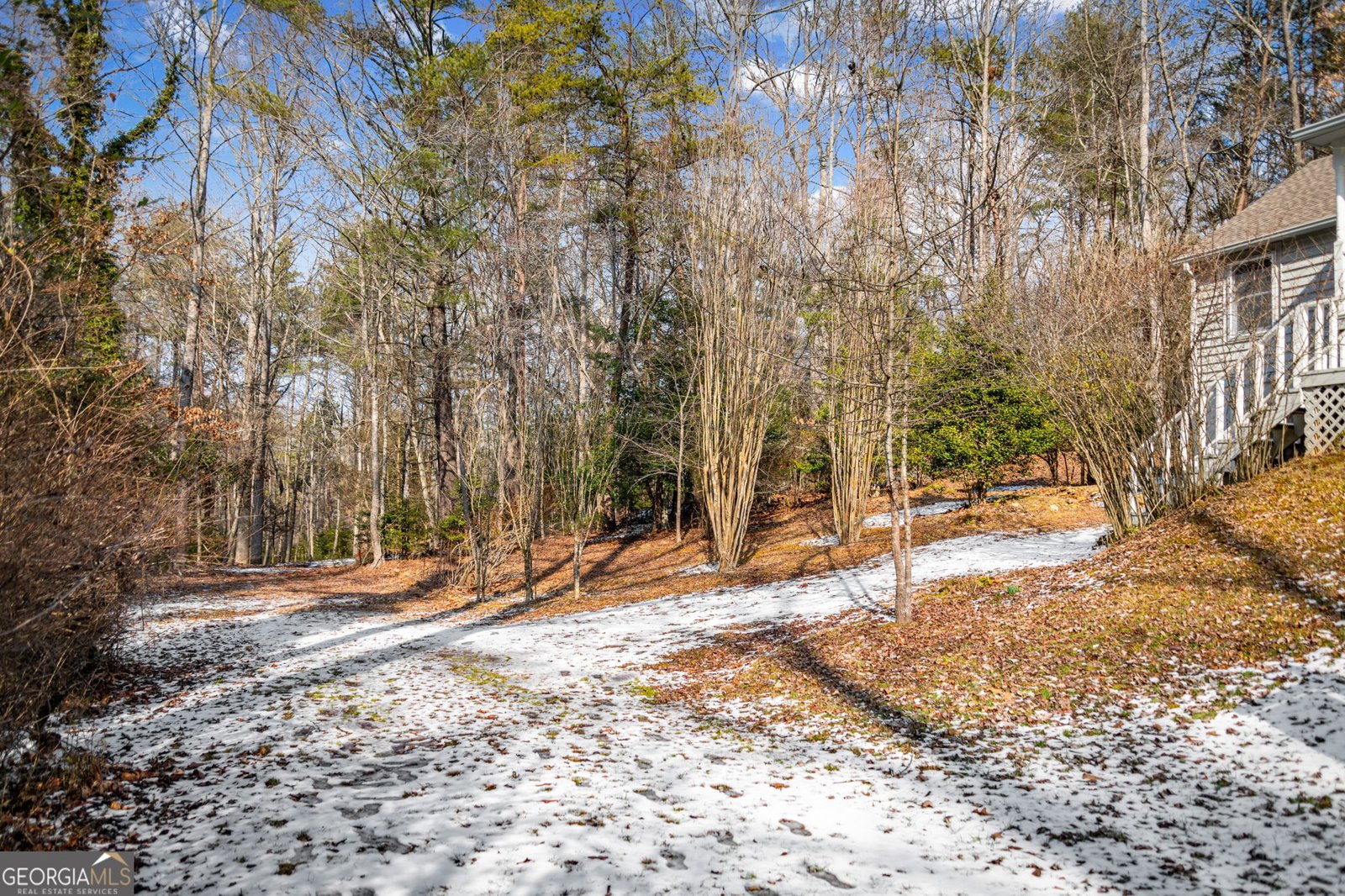 102 Captains Cove Blairsville - Photo 98