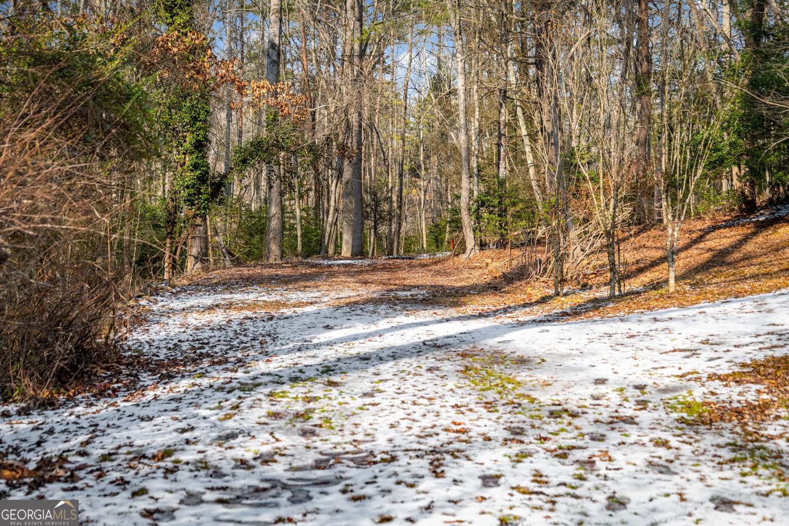 102 Captains Cove Blairsville - Photo 99